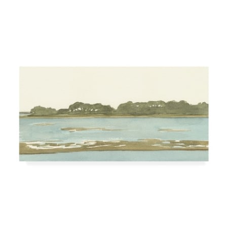Dianne Miller 'Spa Coastline Ii' Canvas Art,24x47